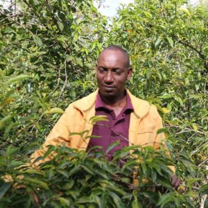 ethiopia_1
